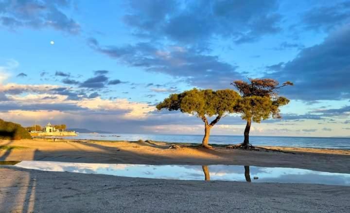 Άνετο Διαμέρισμα อาร์เตมีดา ภายนอก รูปภาพ